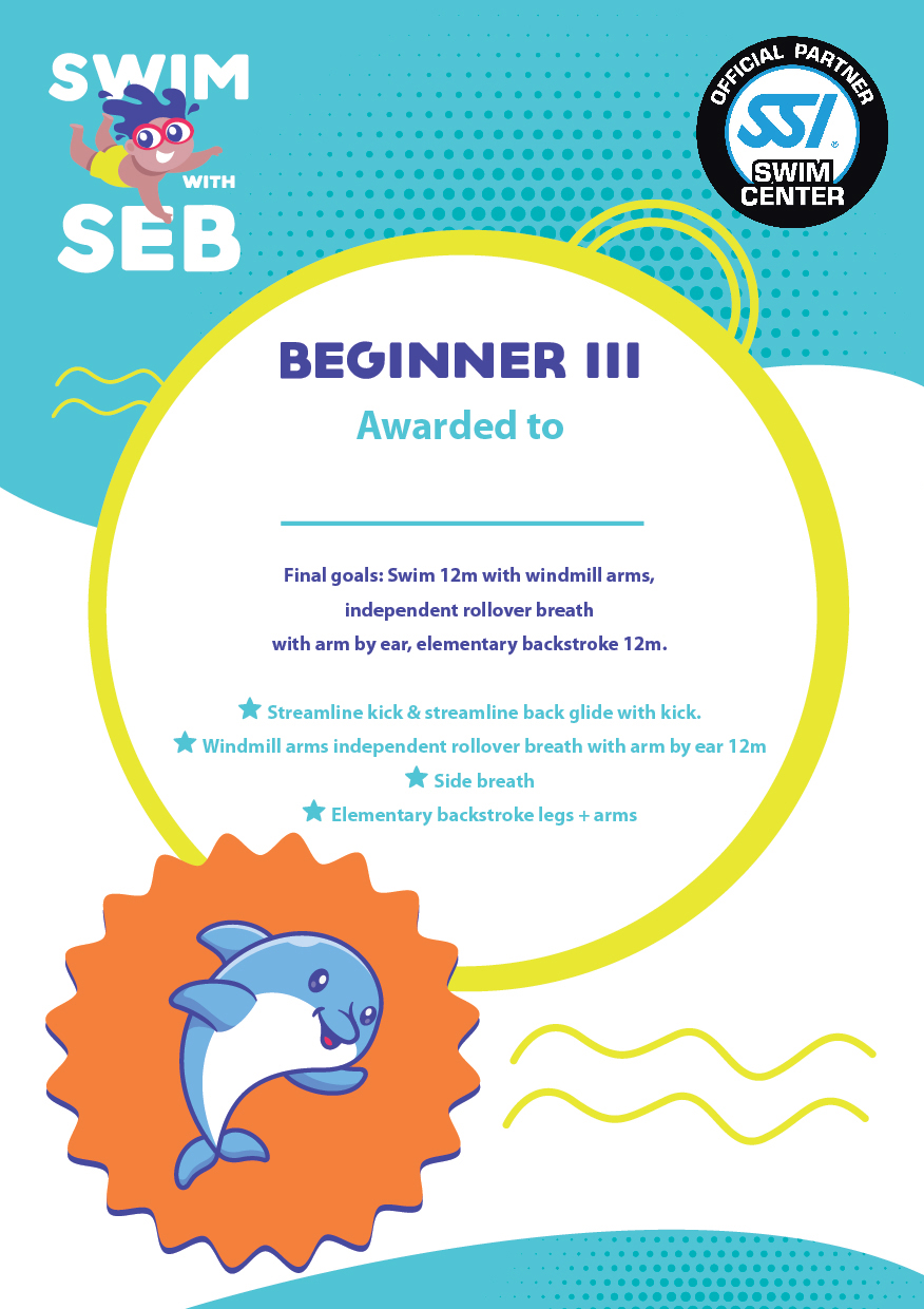 Beginner Certificate 3